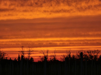 Similar image 22188706