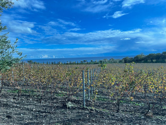 Similar image 22188708