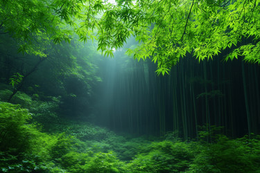 Similar image 22176930