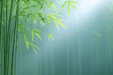 Similar image 22176942