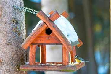 Similar image 22178406