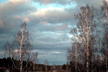 Similar image 22175947