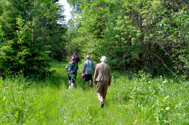 Similar image 22175950