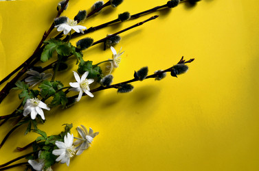 Similar image 22175951