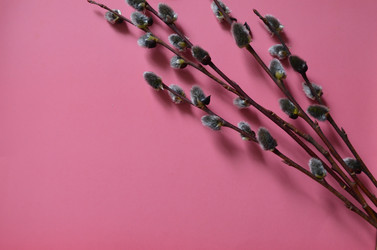 Similar image 22175953