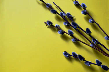 Similar image 22175954