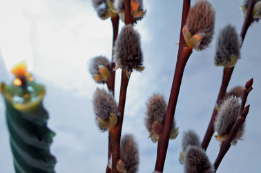 Similar image 22175965