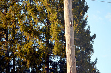 Similar image 22175966