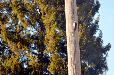 Similar image 22175967