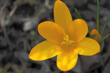 Similar image 22175968