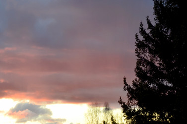 Similar image 22175971