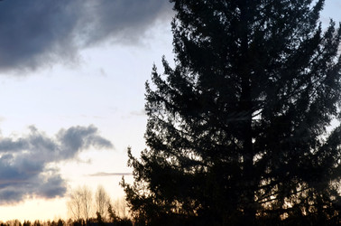 Similar image 22175973