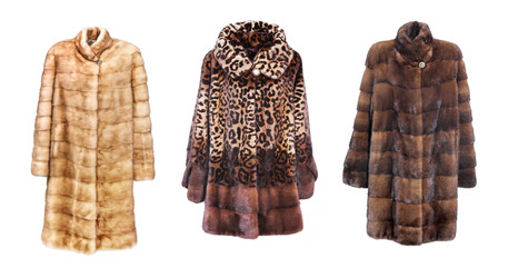 Similar image 22176040