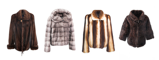 Similar image 22176048