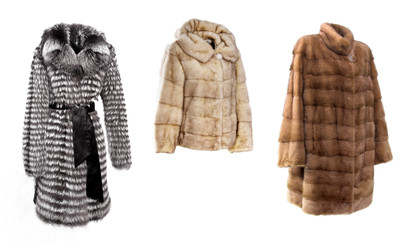 Similar image 22176064