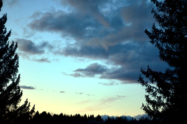 Similar image 22176080