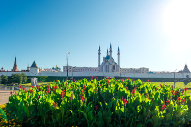 Similar image 22186423