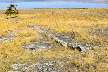 Similar image 22176969