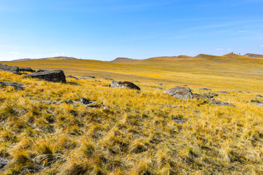 Similar image 22176972