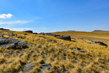 Similar image 22176973