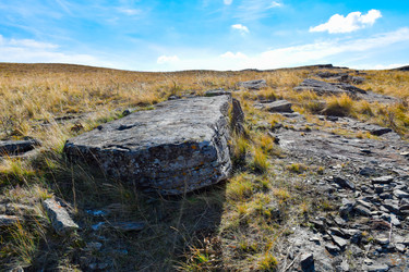 Similar image 22176974