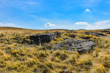 Similar image 22176975