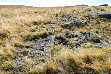 Similar image 22176976