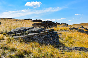 Similar image 22176977