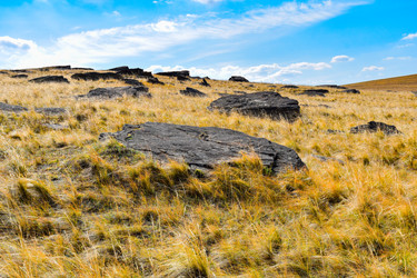 Similar image 22176978