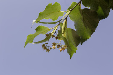 Similar image 22176980