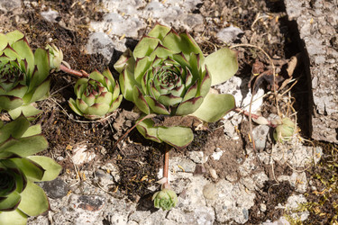 Similar image 22176981