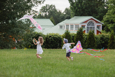 Similar image 22177001