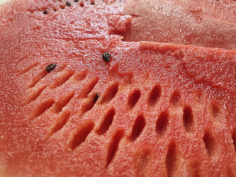 Similar image 22176087