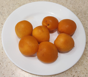 Similar image 22176092