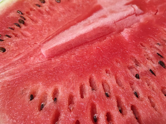 Similar image 22176095