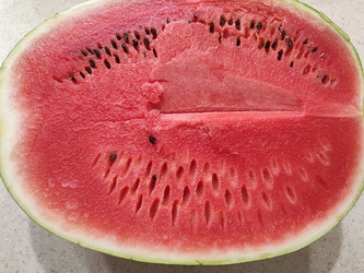 Similar image 22176096