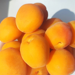 Similar image 22176099