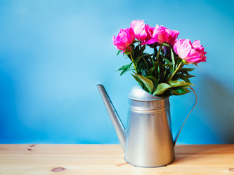 Similar image 22176104