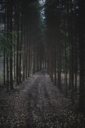 Similar image 22179326