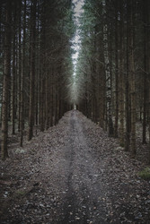 Similar image 22179327