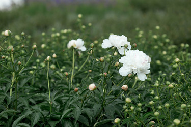 Similar image 22177338