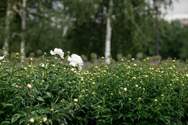 Similar image 22177346