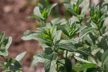 Similar image 22177348