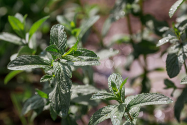 Similar image 22177350