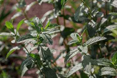 Similar image 22177352