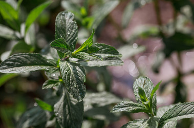 Similar image 22177354