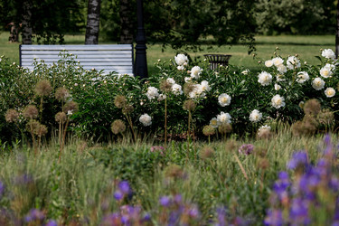 Similar image 22177355