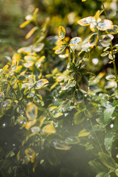 Similar image 22177356