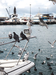 Similar image 22181431