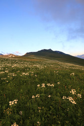 Similar image 22181432